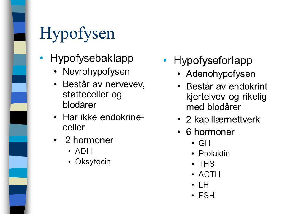 Hypofysen Hypofysebaklapp Hypofyseforlapp Nevrohypofysen