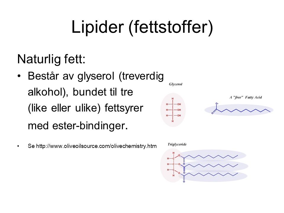 Lipider (fettstoffer)
