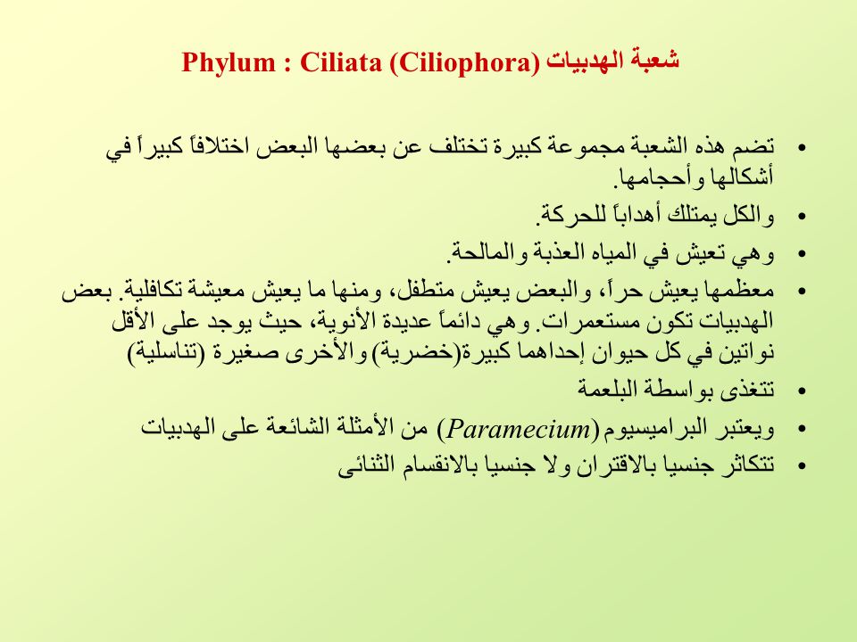 شعبة الهدبيات Phylum : Ciliata (Ciliophora)