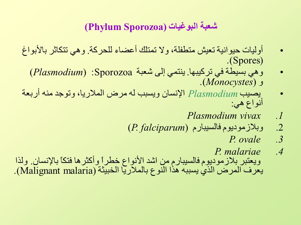 شعبة البوغيات (Phylum Sporozoa)