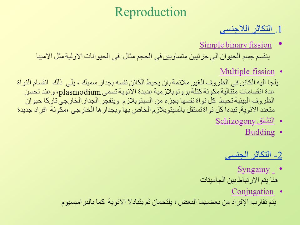 Reproduction Simple binary fission التكاثر اللاجنسى 2- التكاثر الجنسى