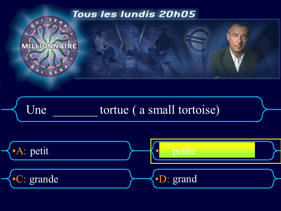 Une _______ tortue ( a small tortoise)
