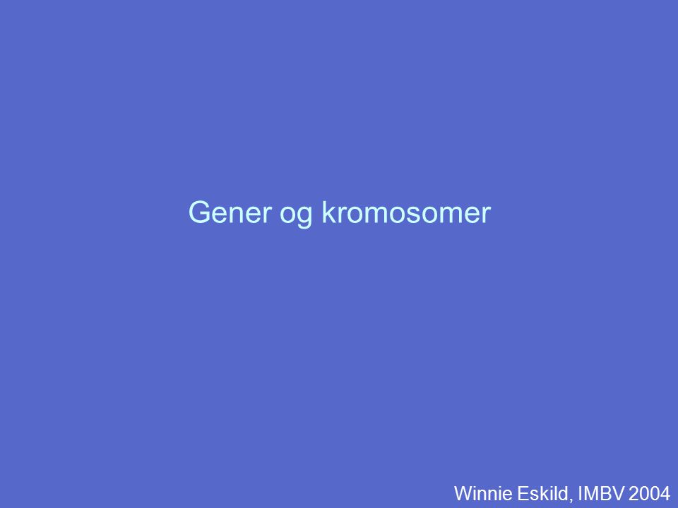 Gener og kromosomer Winnie Eskild, IMBV 2004