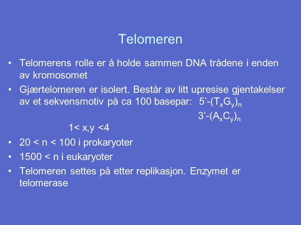 Telomeren Telomerens rolle er å holde sammen DNA trådene i enden av kromosomet.