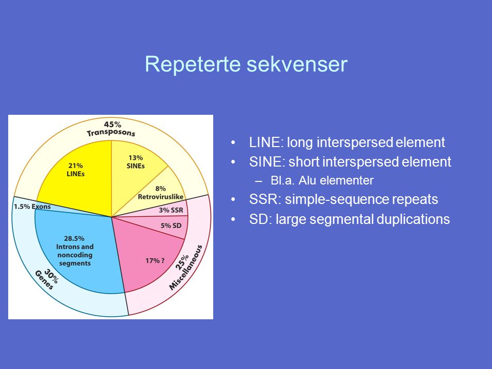 Repeterte sekvenser LINE: long interspersed element